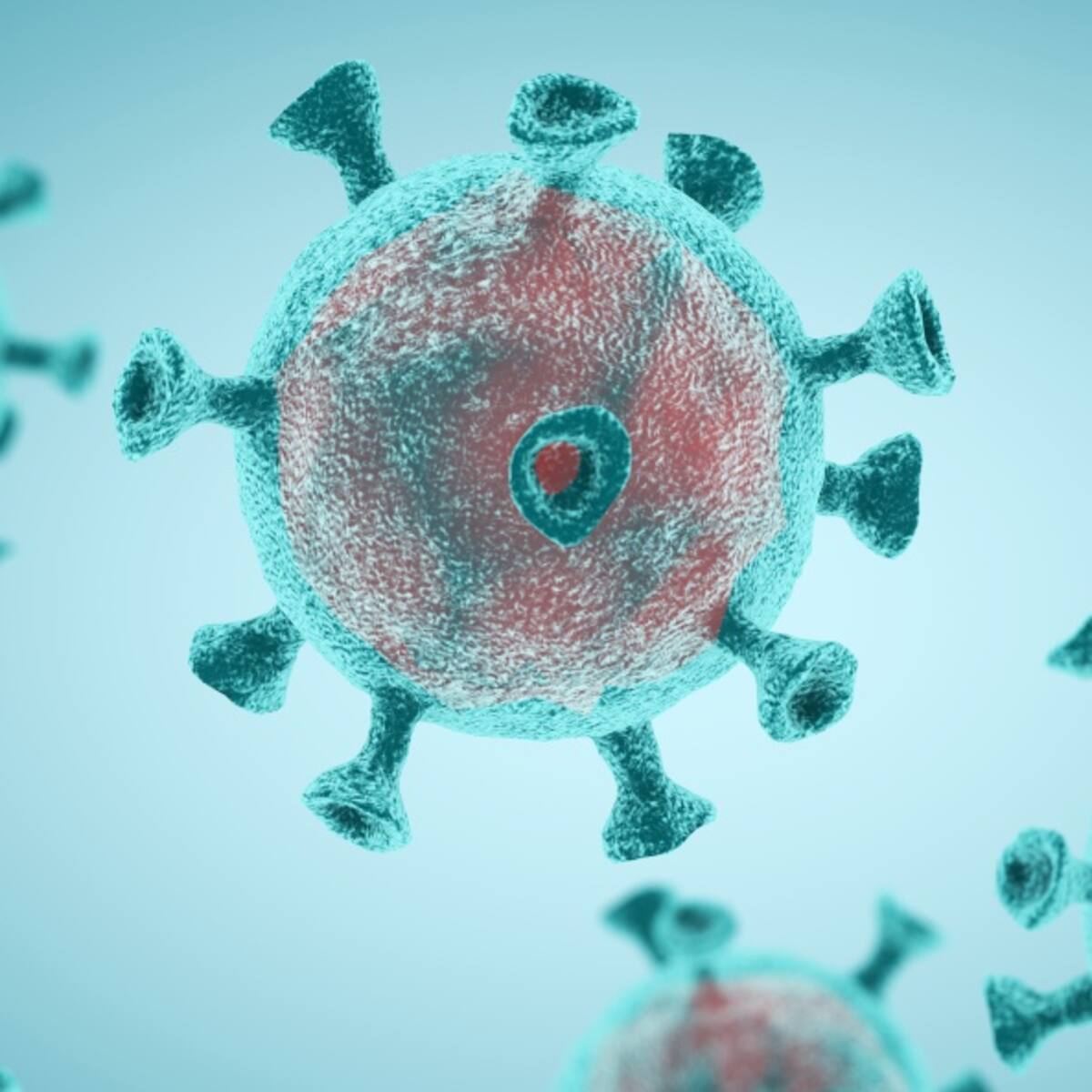 Coronavirus en Castilla y León: última hora de los afectados