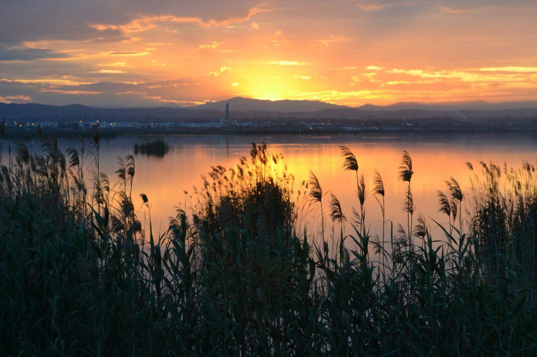 Tancat de Mília, junto a la Albufera de València