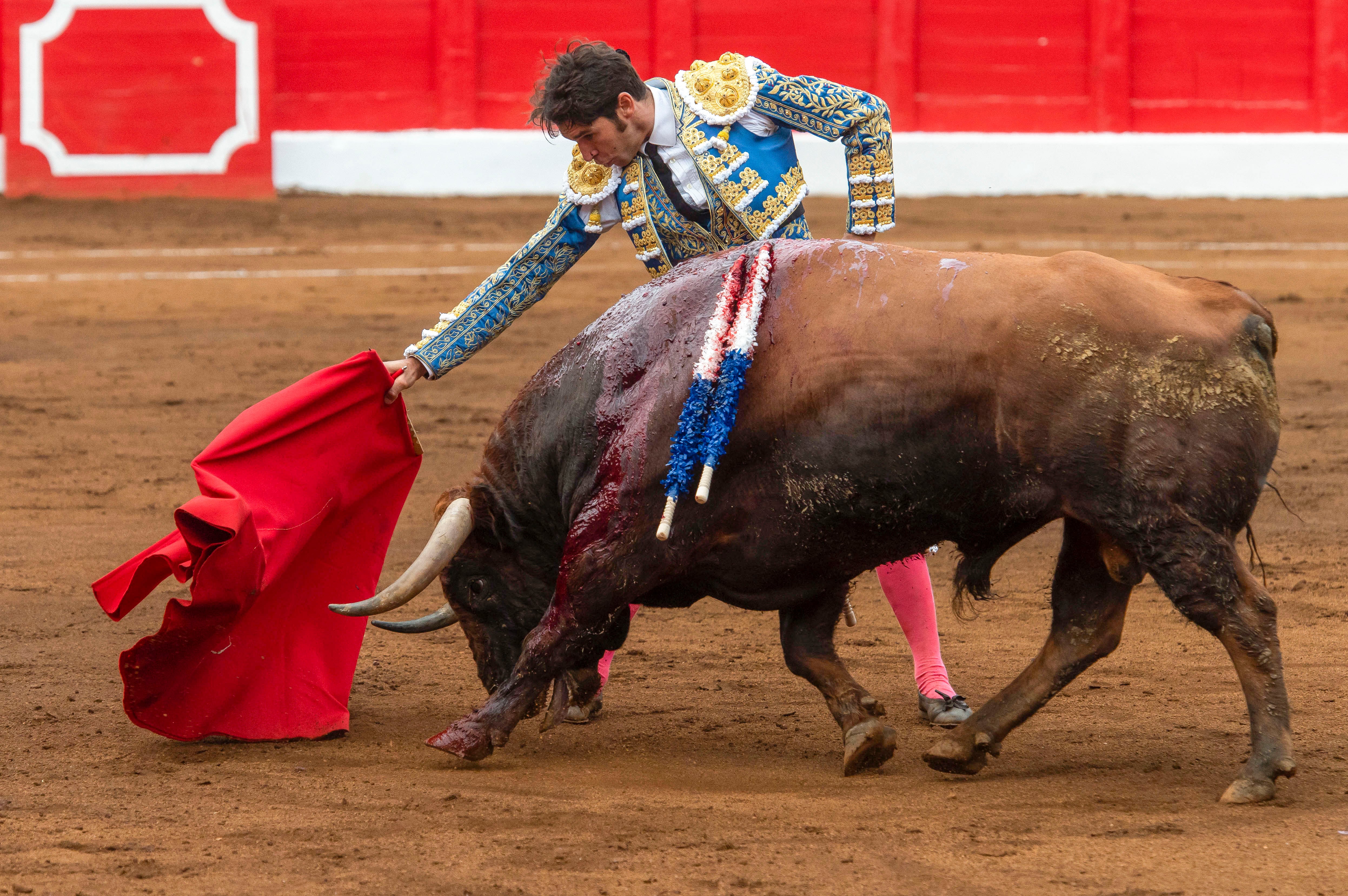 Cayetano Rivera. EFE/ Pedro Puente Hoyos