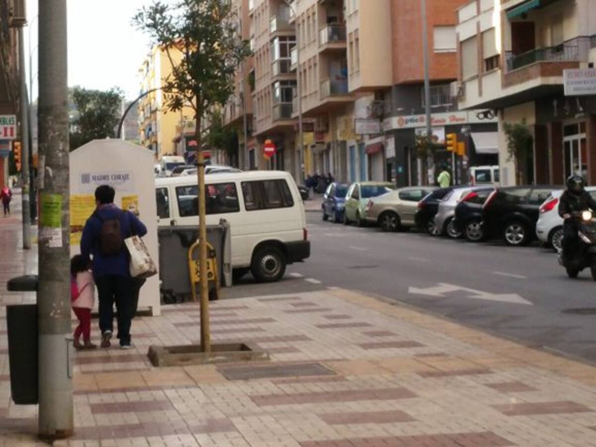 Polémica por la tala de árboles en los barrios de Málaga