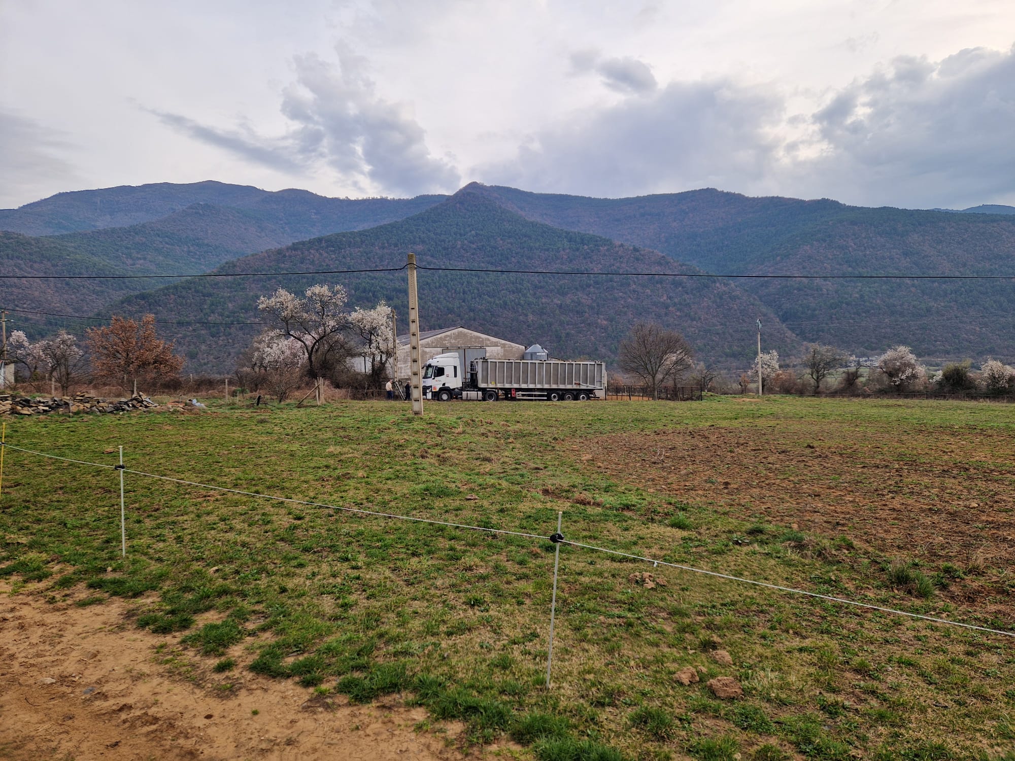 Los socialistas llevan al pleno de la DPH la petición de ayudas para los afectados