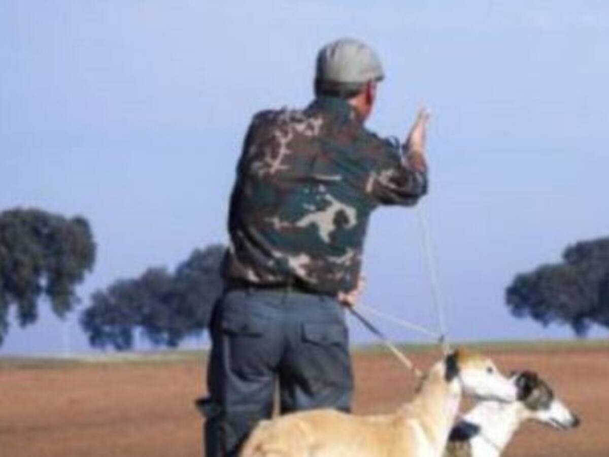 ¿Hay que prohibir la caza de la tórtola?