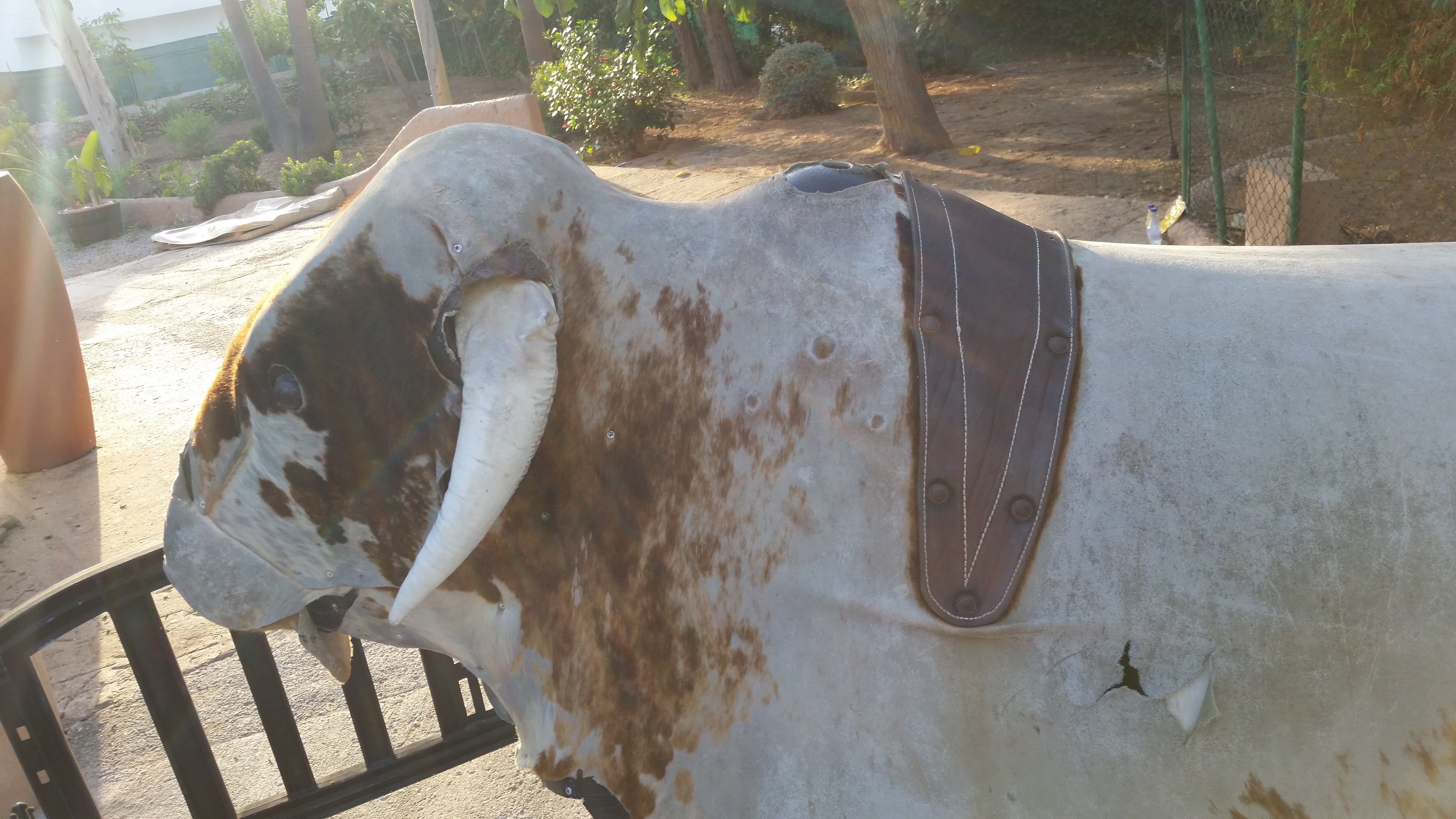 Mechanical bull