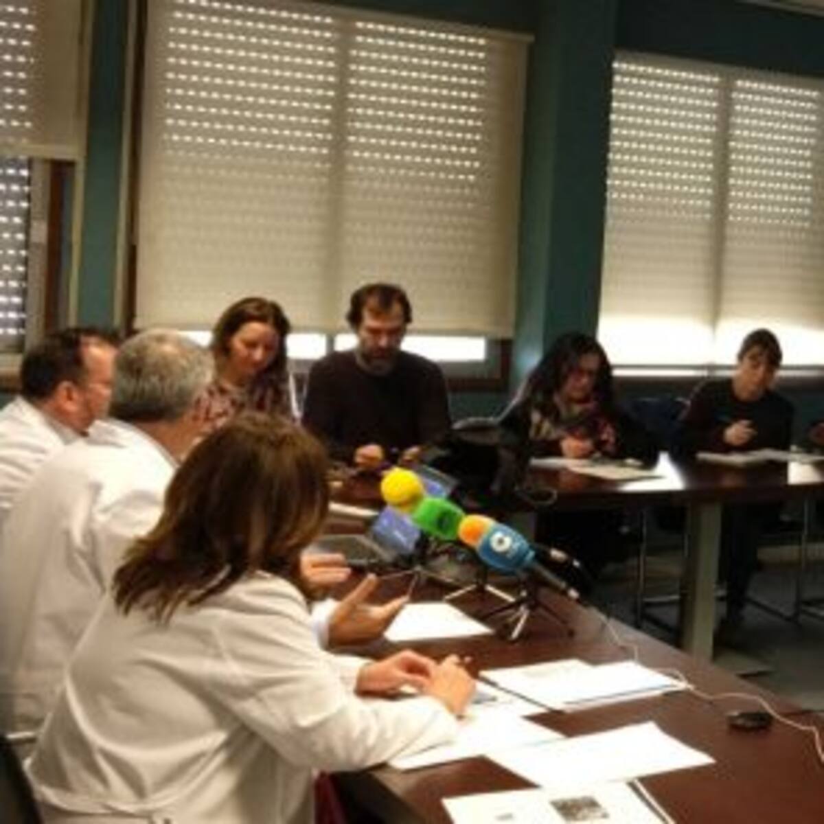 La gripe ya presenta una curva descendente