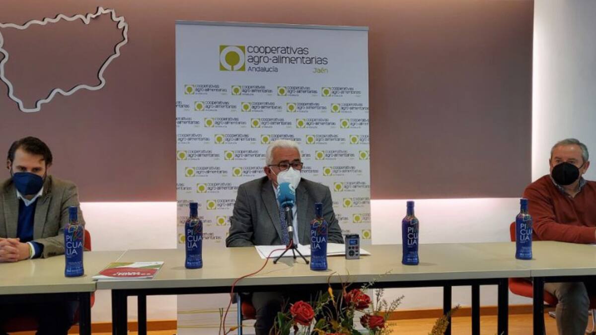 Picualia se convertirá en la primera almazara del mundo en albergar un centro de restauración