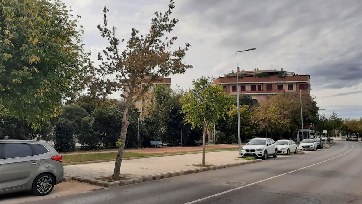 El concejal de obras, Nacho Reig, sobre el Centro de Salud Xàtiva II