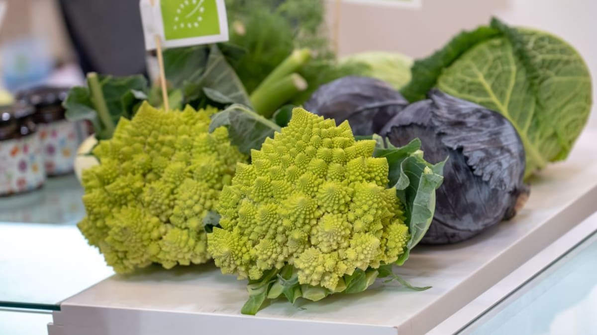 La agricultura ecológica supone ya el 23,3% de la producción en la Región de Murcia