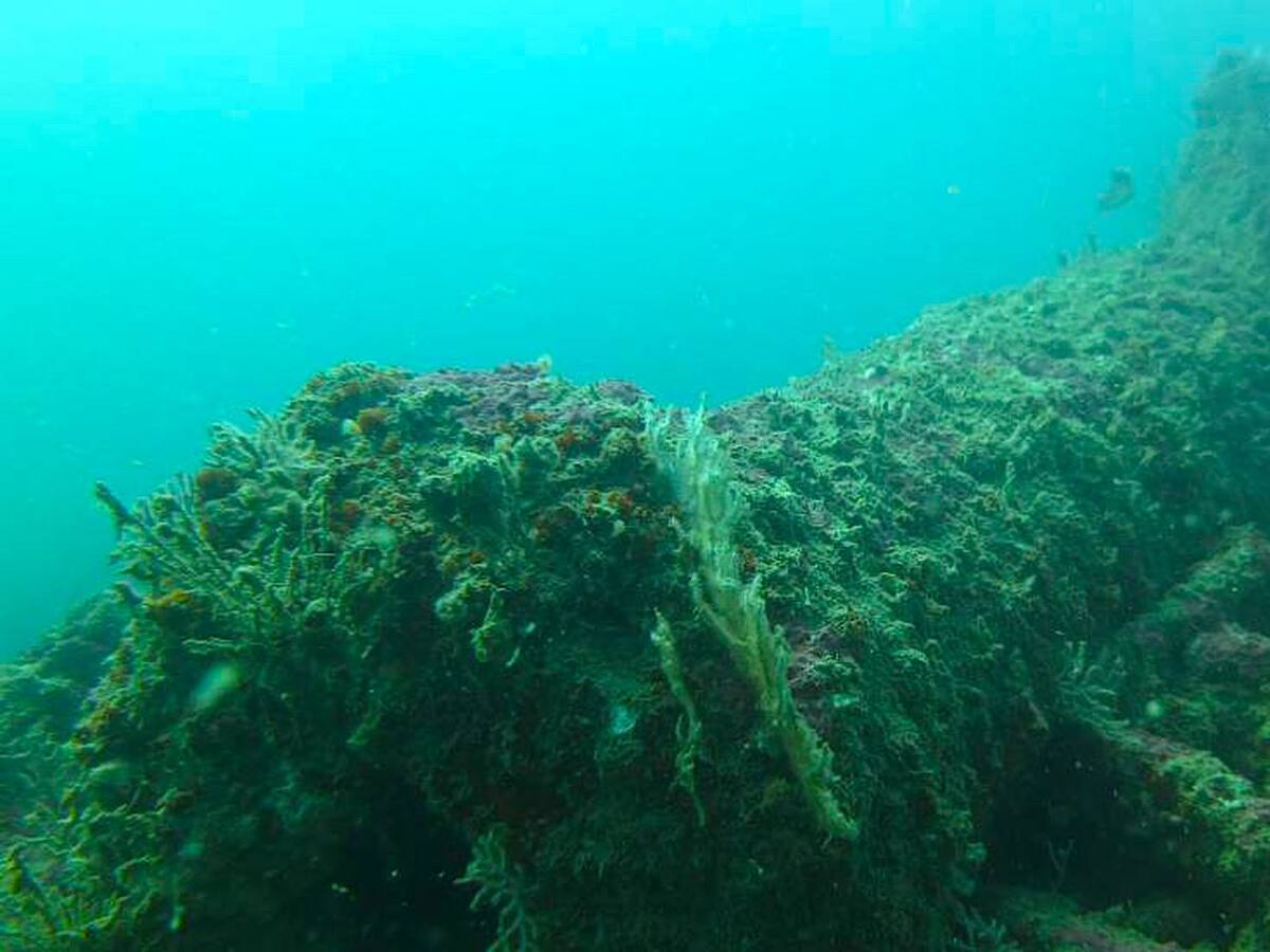 El Clúster Marítimo-marino de Andalucía reclama el estudio y la recuperación del pecio de la Batalla de Trafalgar