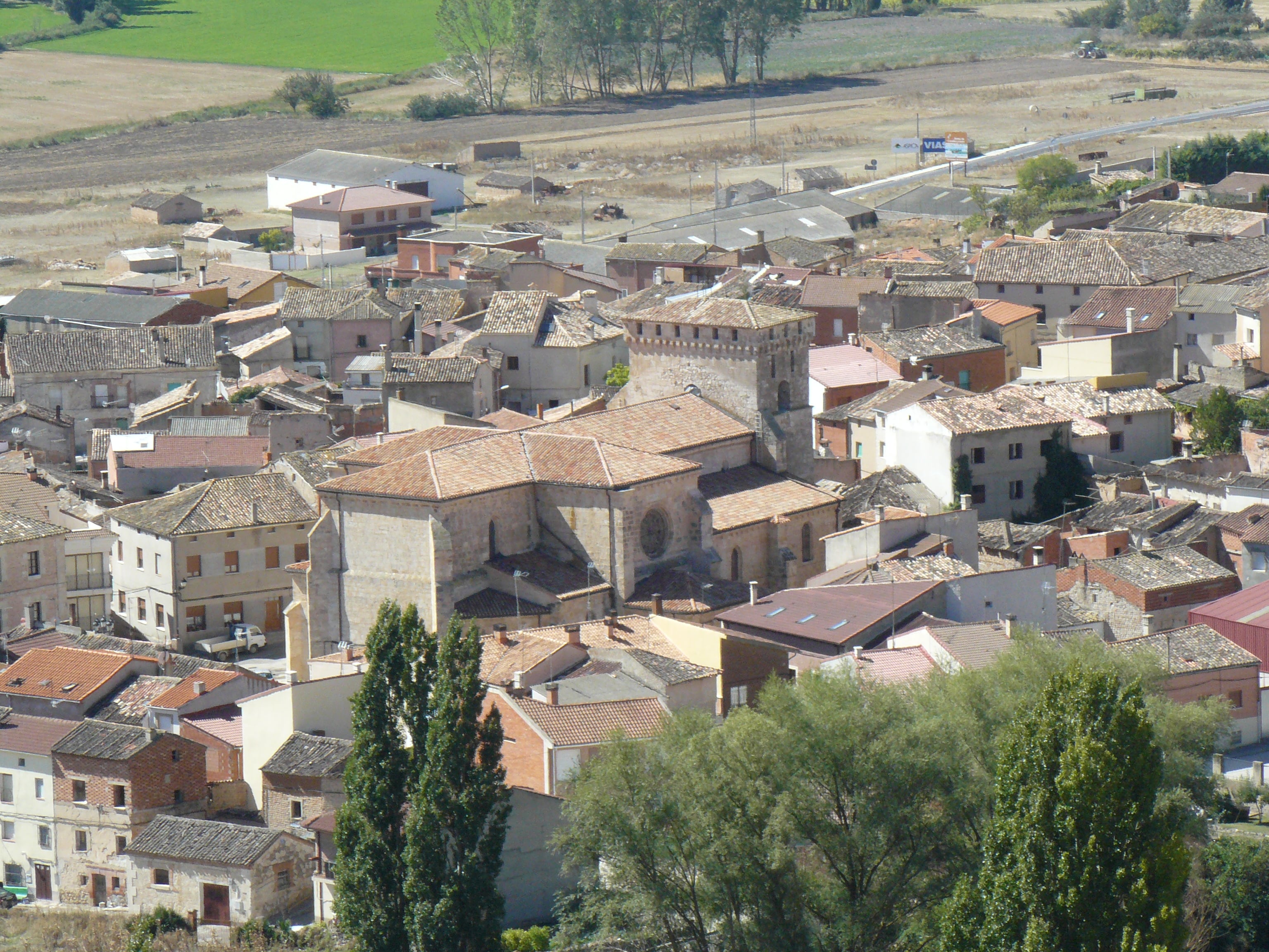 Vista panorámica de Tórtoles de Esgueva