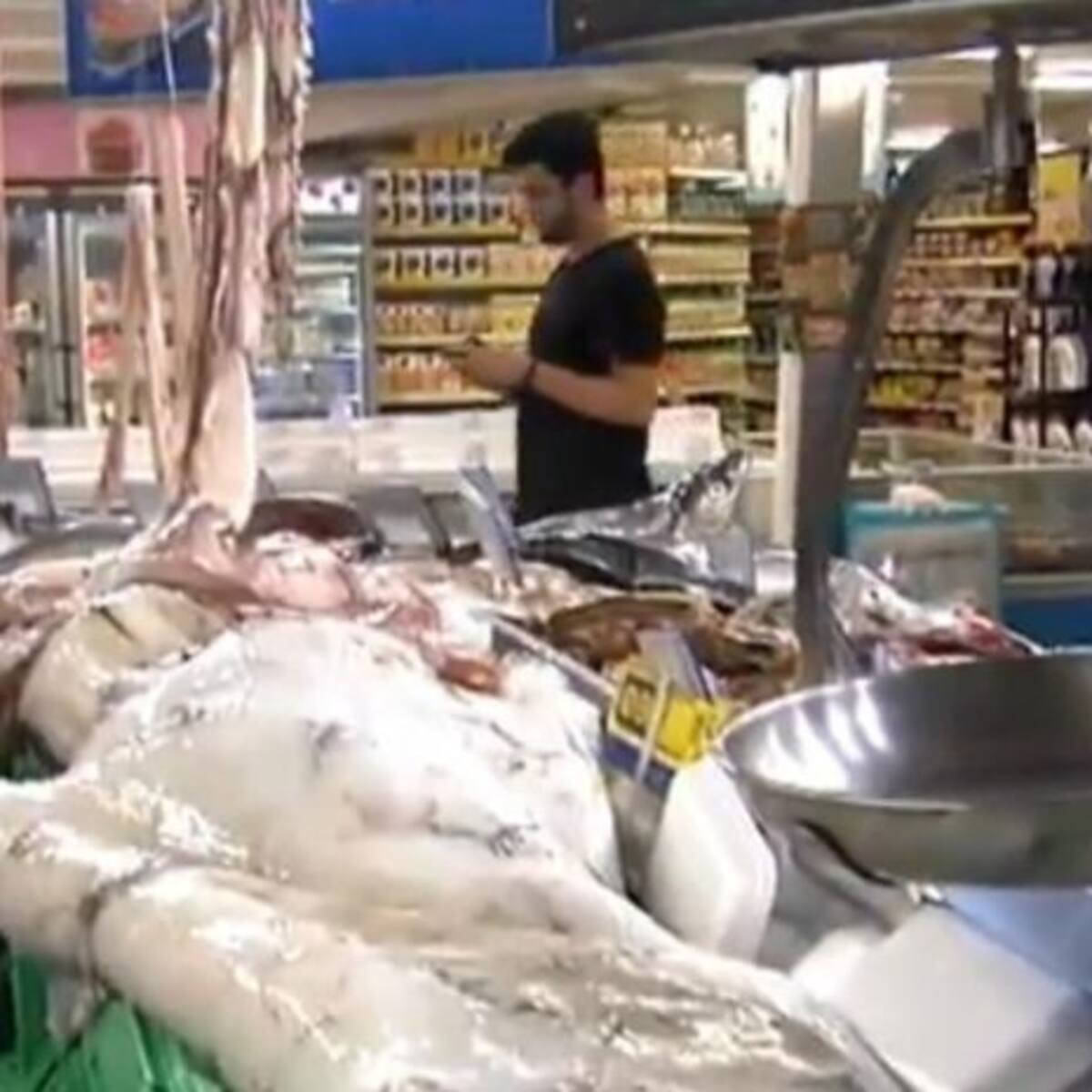 Un misterioso calamar gigante se expone en la lonja de Santander