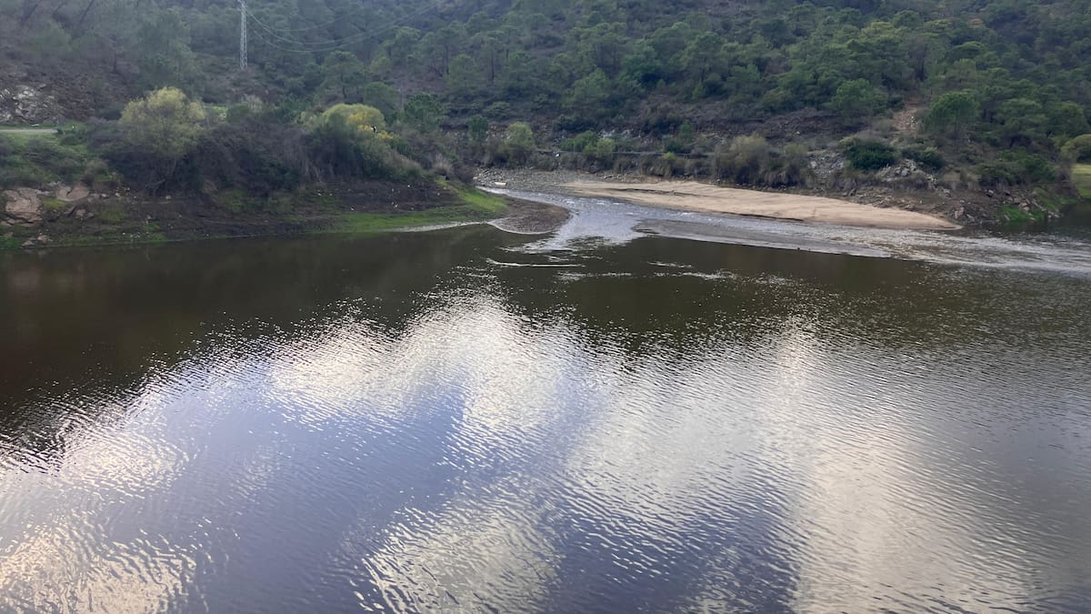 F. Román: "bajo el nombre de renaturalización metemos actuaciones urbanísticas".