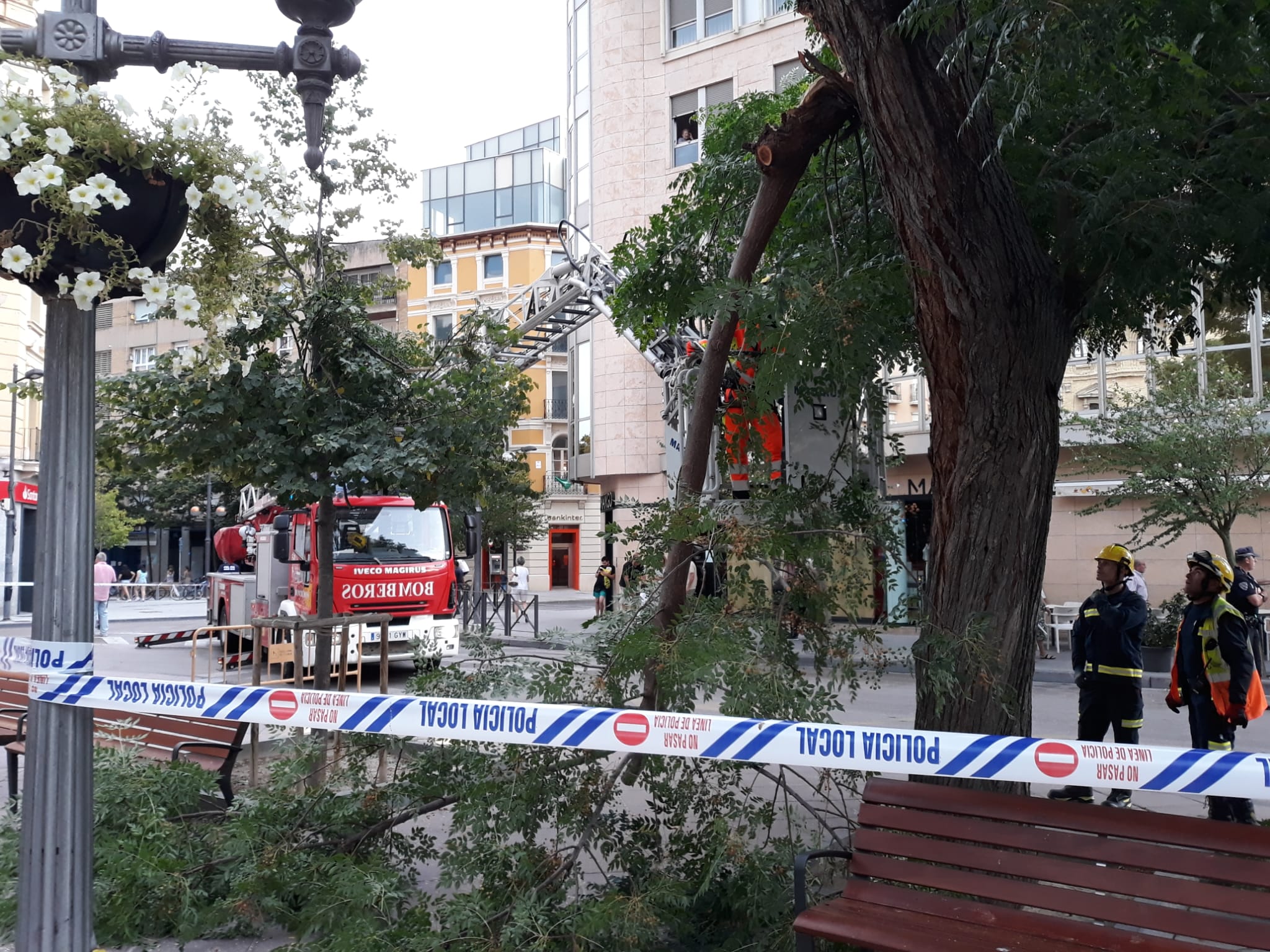 Caída de rama en el centro de Huesca