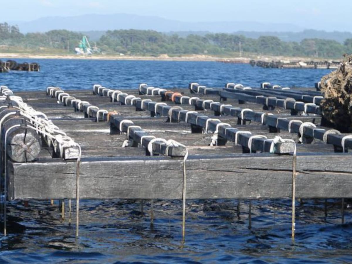 Ría cerrada por la toxina