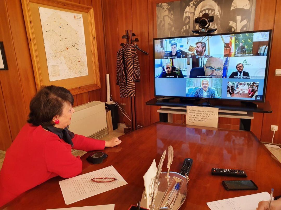 La subdelegada del Gobierno central en Córdoba, Rafaela Valenzuela, durante la reunión telemática con autoridades provinciales y de las Fuerzas y Cuerpos de Seguridad