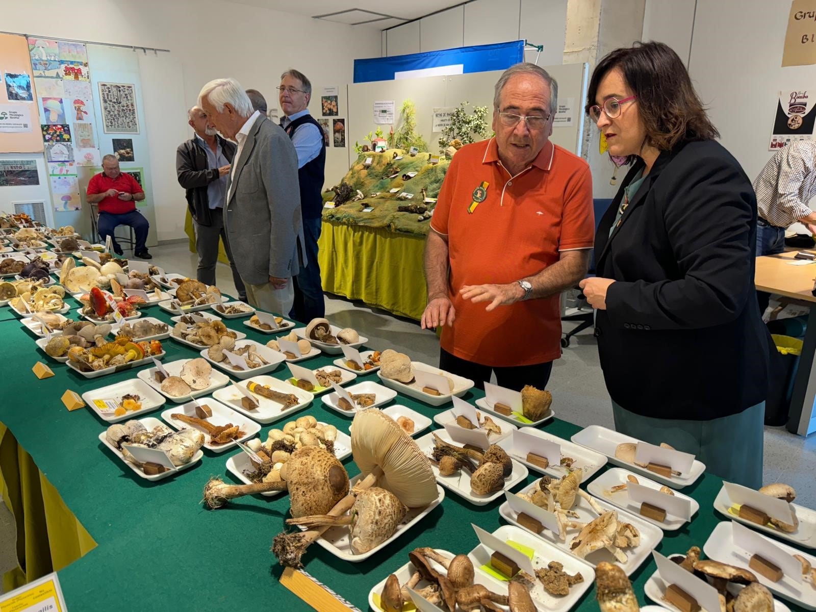 La exposición micológica se podrá ver del 12 al 14 de octubre en la sala de exposiciones del Ayuntamiento de Binéfar