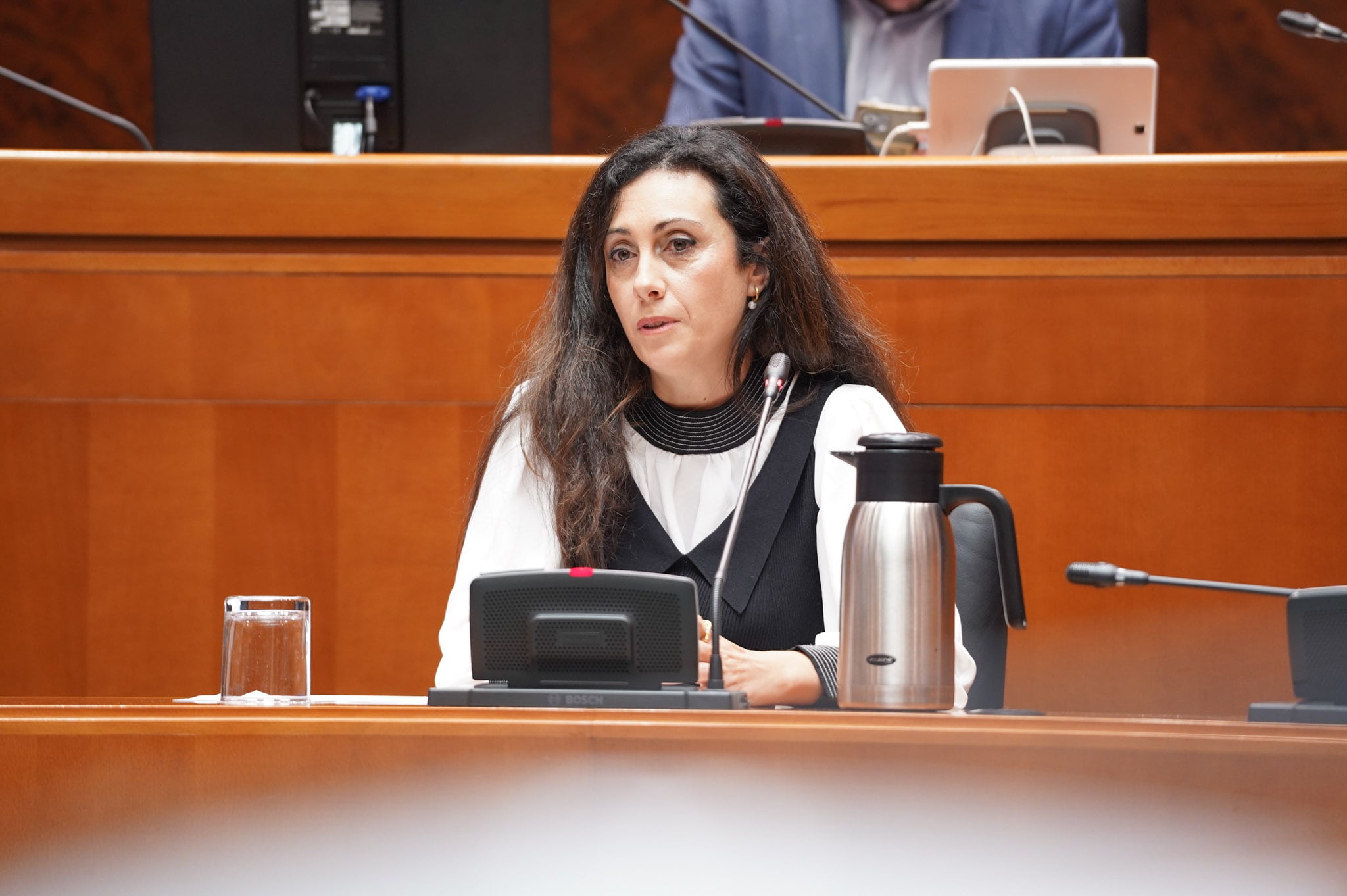 Paloma Delgado en su comparecencia en las Cortes