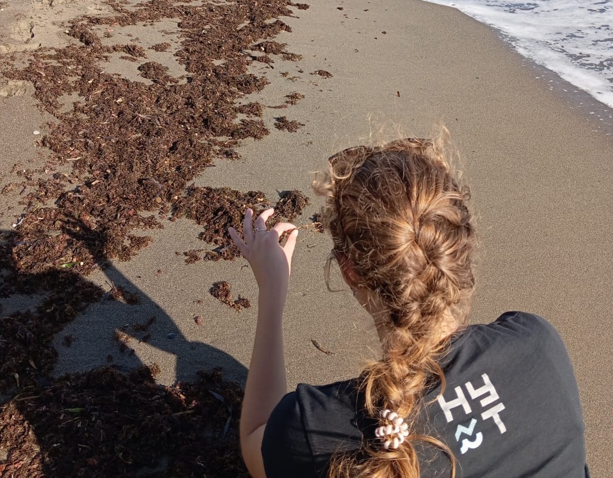 RUGUPLAS, un proyecto coordinado por HyT Asociación Hombre y Territorio junto a AIMPLAS, ha trabajado estos últimos 16 meses para evaluar el potencial del alga invasora Rugulopteryx okamurae como materia prima para la obtención de bioplásticos o biomateriales que pueda ser incorporados al sector pesquero.