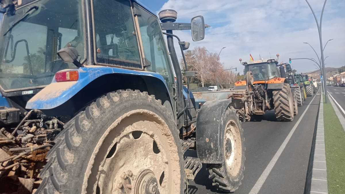 Entrevista con Plácido Pérez Chuecos, presidente de COAG Lorca.