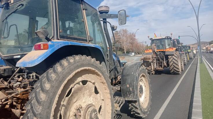Entrevista con Plácido Pérez Chuecos, presidente de COAG Lorca.