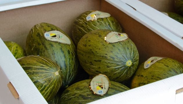 Imagen de melones preparados para su comercialización