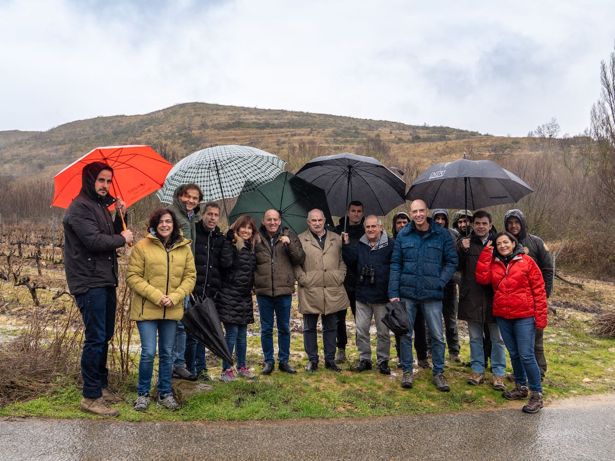 San Martín de Unx incorpora "vacas bomberas" para prevenir incendios