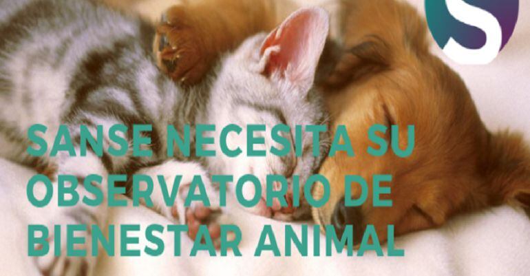 Si Se Puede! Sanse asegura que el observatorio animal es muy necesario