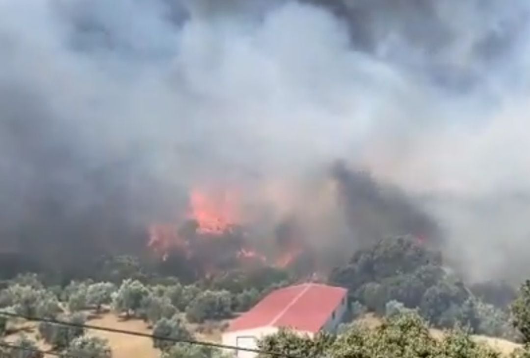 Imágenes del incendio forestal en Yunquera