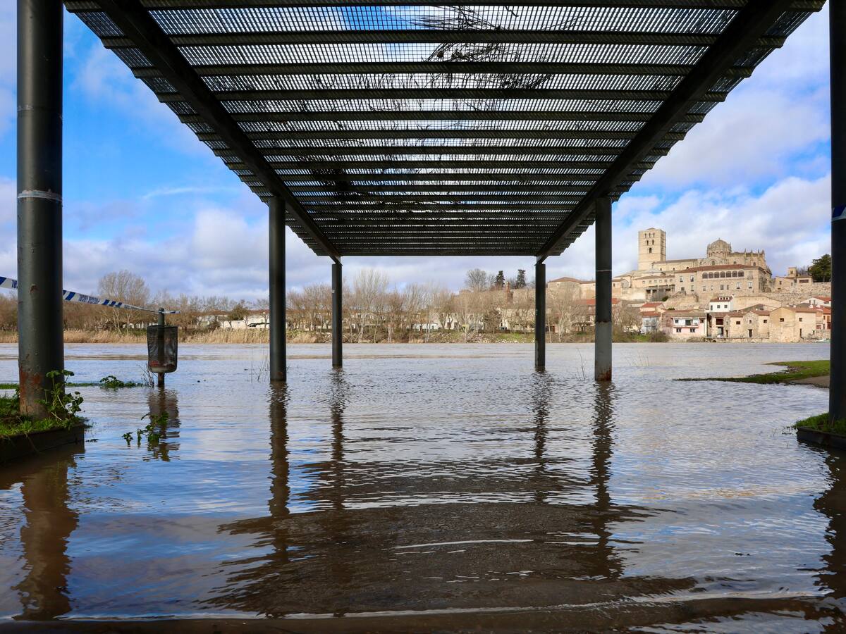 Los efectos de la borrasca Leonardo a su paso por Zamora