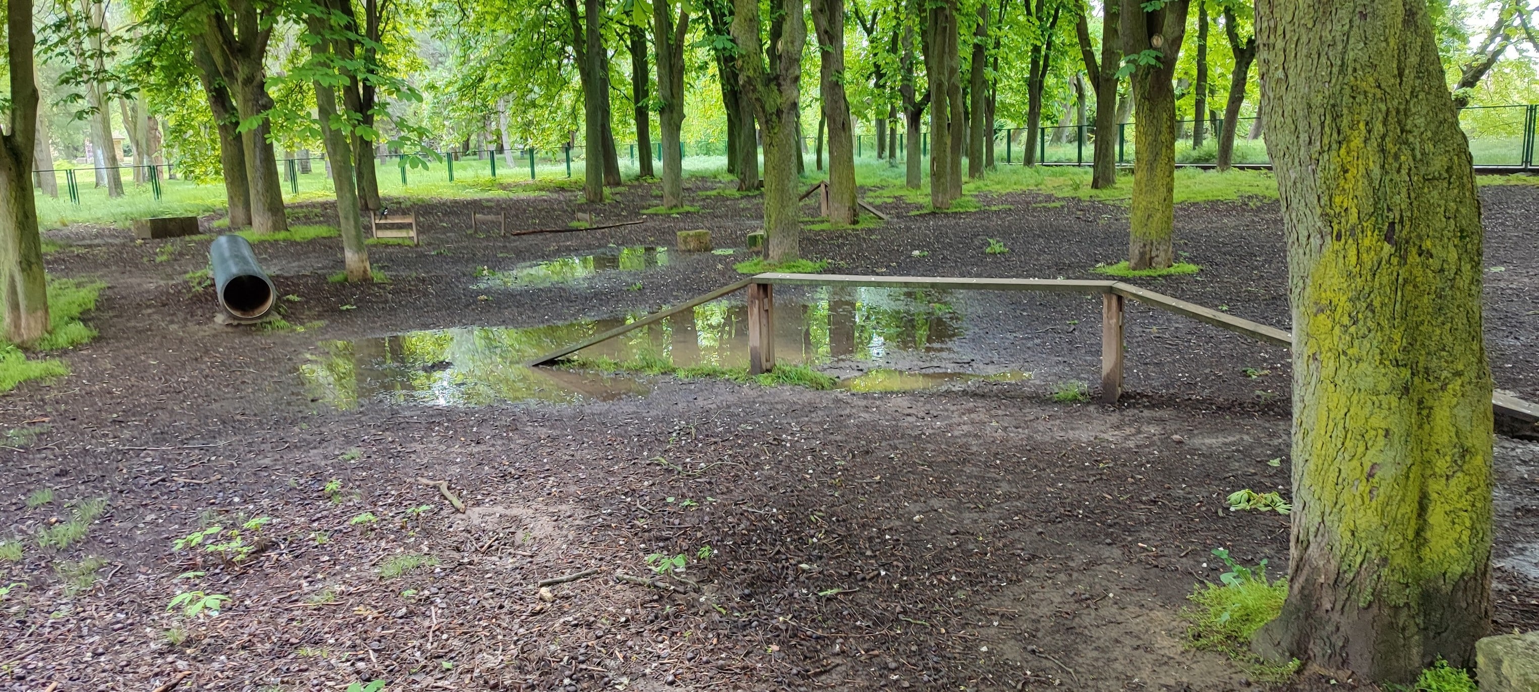 Estado del parque canino de Palencia