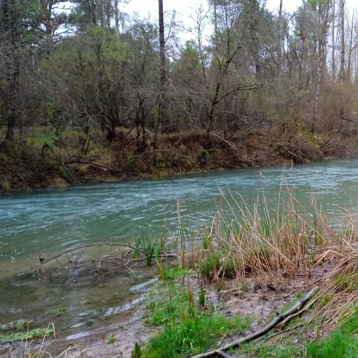 Aparece el cadáver de un varón flotando en el río Júcar a su paso por Cuenca