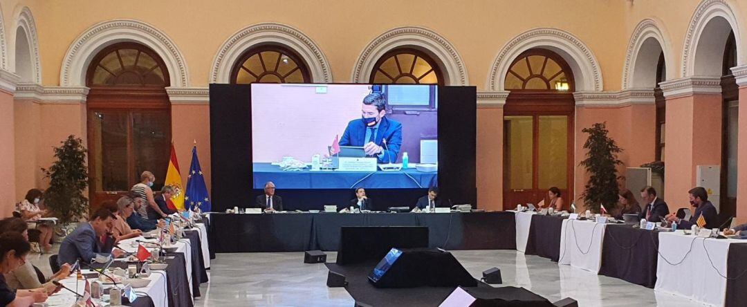 El consejero Antonio Luengo durante su intervención en la Conferencia Sectorial de Agricultura sobre el futuro de la Política Agraria Común, celebrada en el Ministerio de Agricultura. 