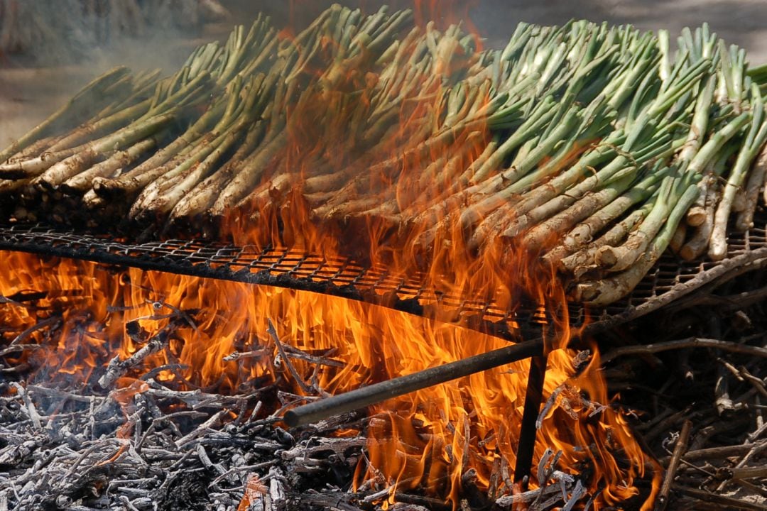 Calçotada en Es Molí d&#039;es Comte