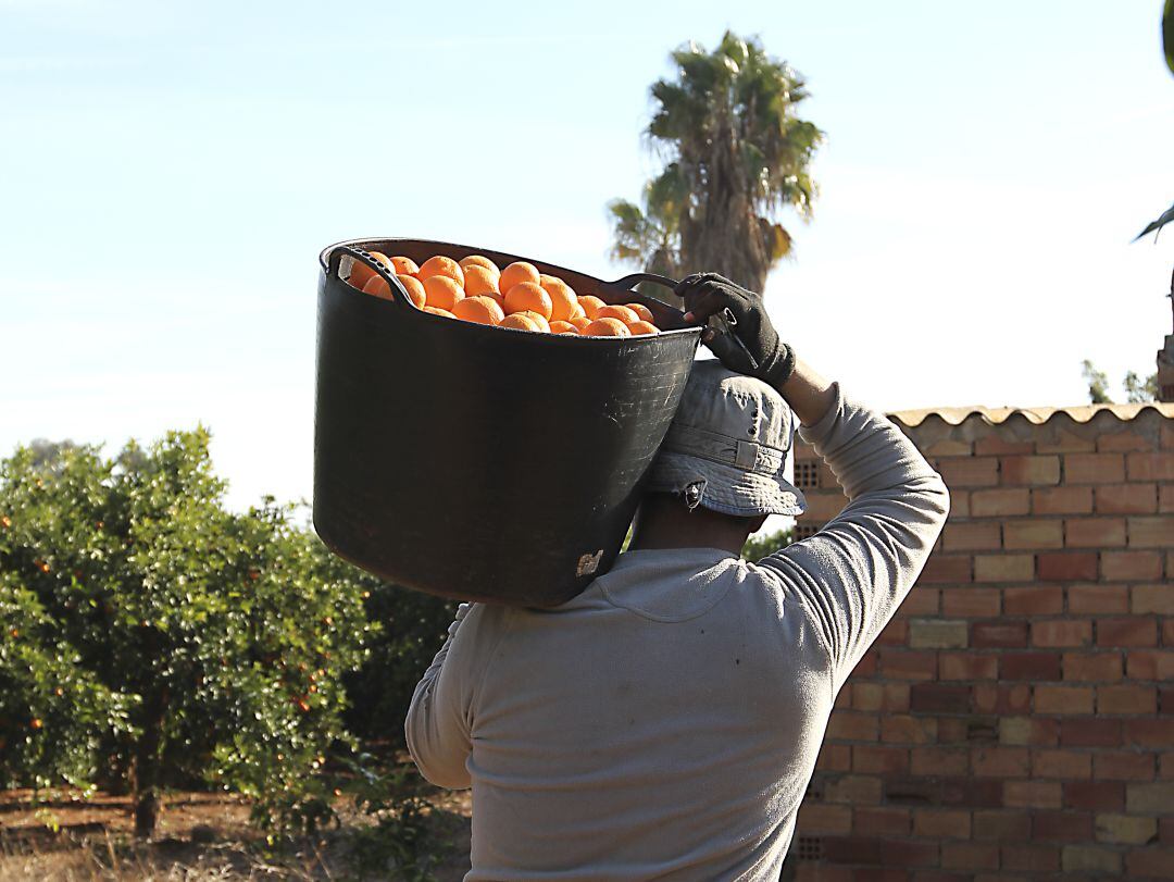 Naranjas