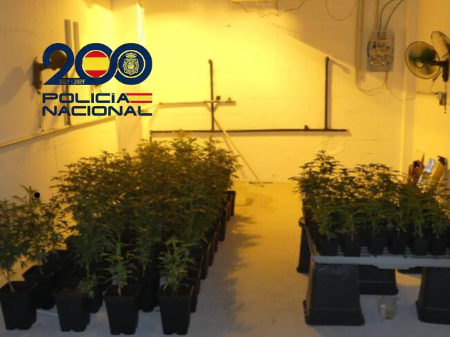 Alijo incautado por la Policía