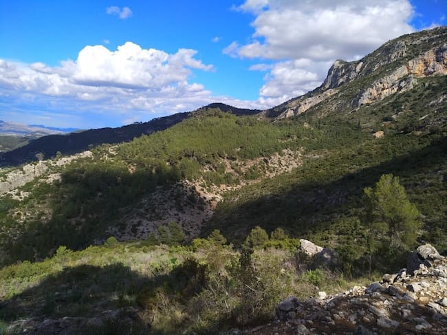 Ombria del Benicadell. Foto: David Belda