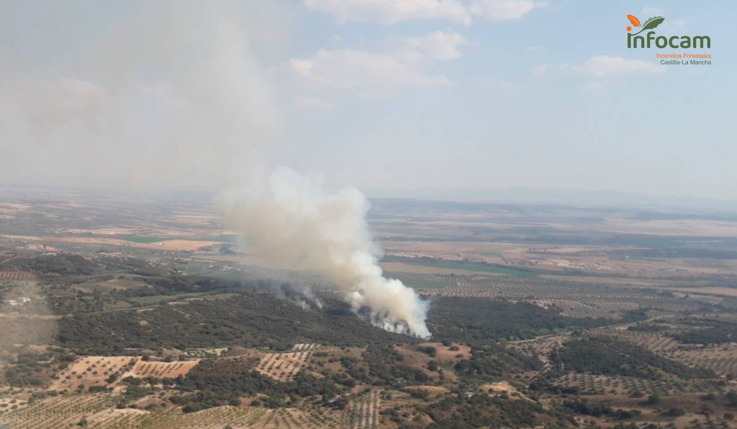 Incendio forestal Mesegar de Tajo (Toledo)