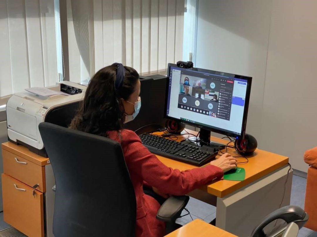 La directora general de Función Pública, Carmen Vicente, en la videoconferencia