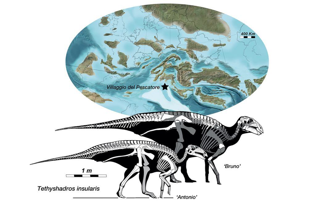 Ilustracións de Marco Muscioni. Mapa de Ron Blakey © 2020 Colorado Plateau Geosystems Inc.