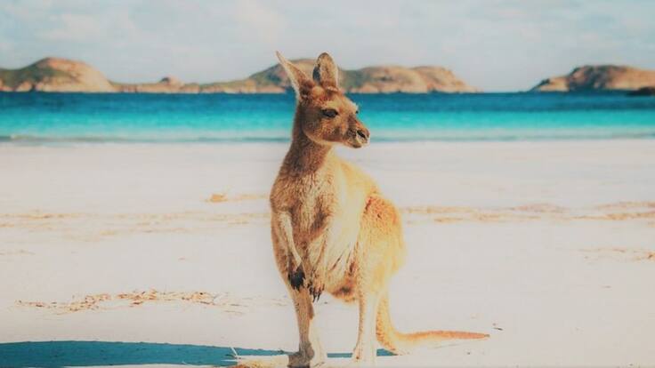 ¿Te vienes a Australia?