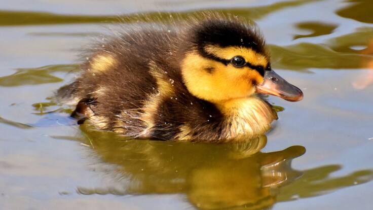 La Ventana de Navarra (23/04/2020)
