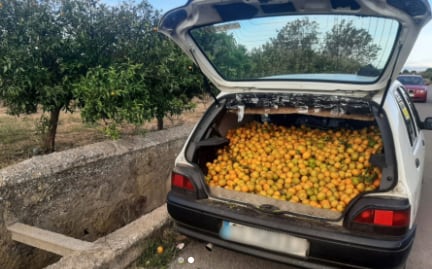 Imagen del vehículo en el que se han encontrado 150 kilos de naranjas robados.
