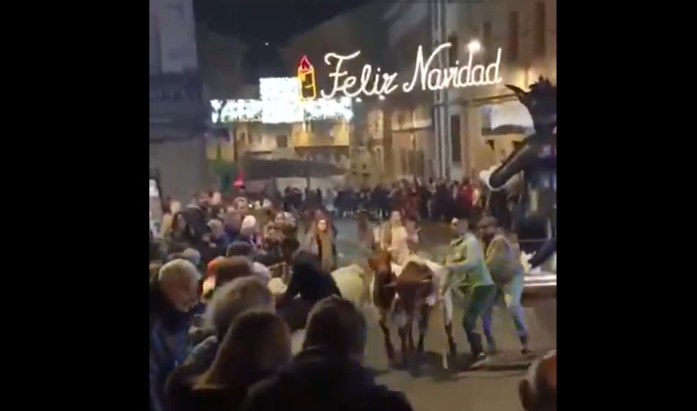 El vídeo que captó el momento se ha vuelto viral en redes sociales