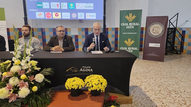 Intervención de Manuel Jesús Ramírez Rivas, en representación de Caja Rural