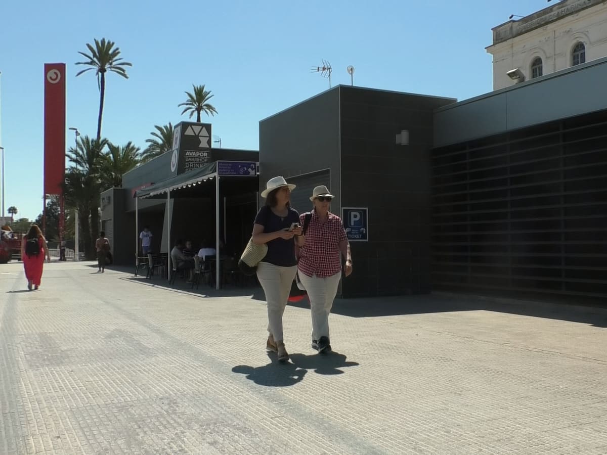 Elche exige al Ministerio de Transportes estar más presente en decisiones que afectan al municipio