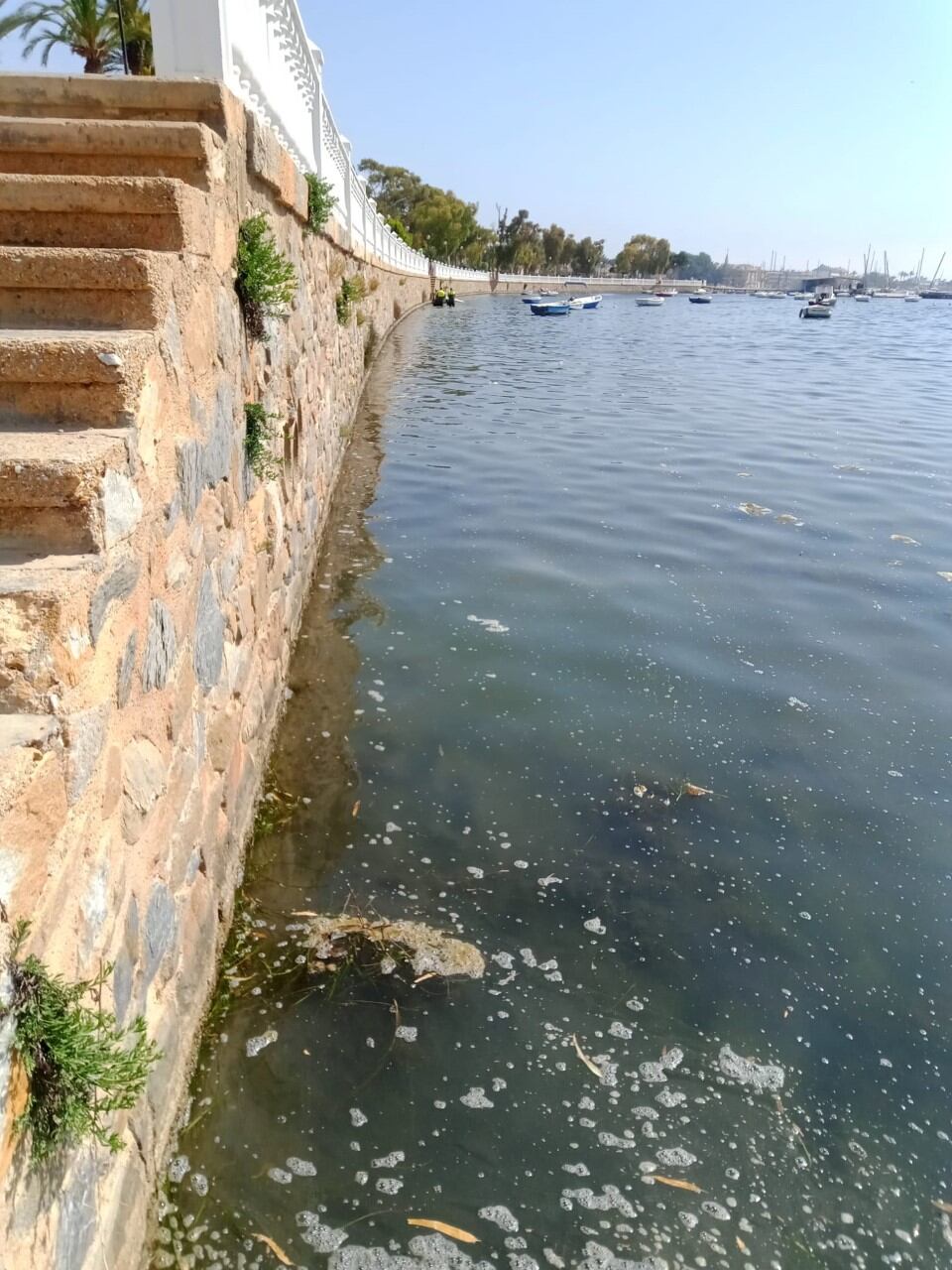 Playa de La Ribera en San Javier