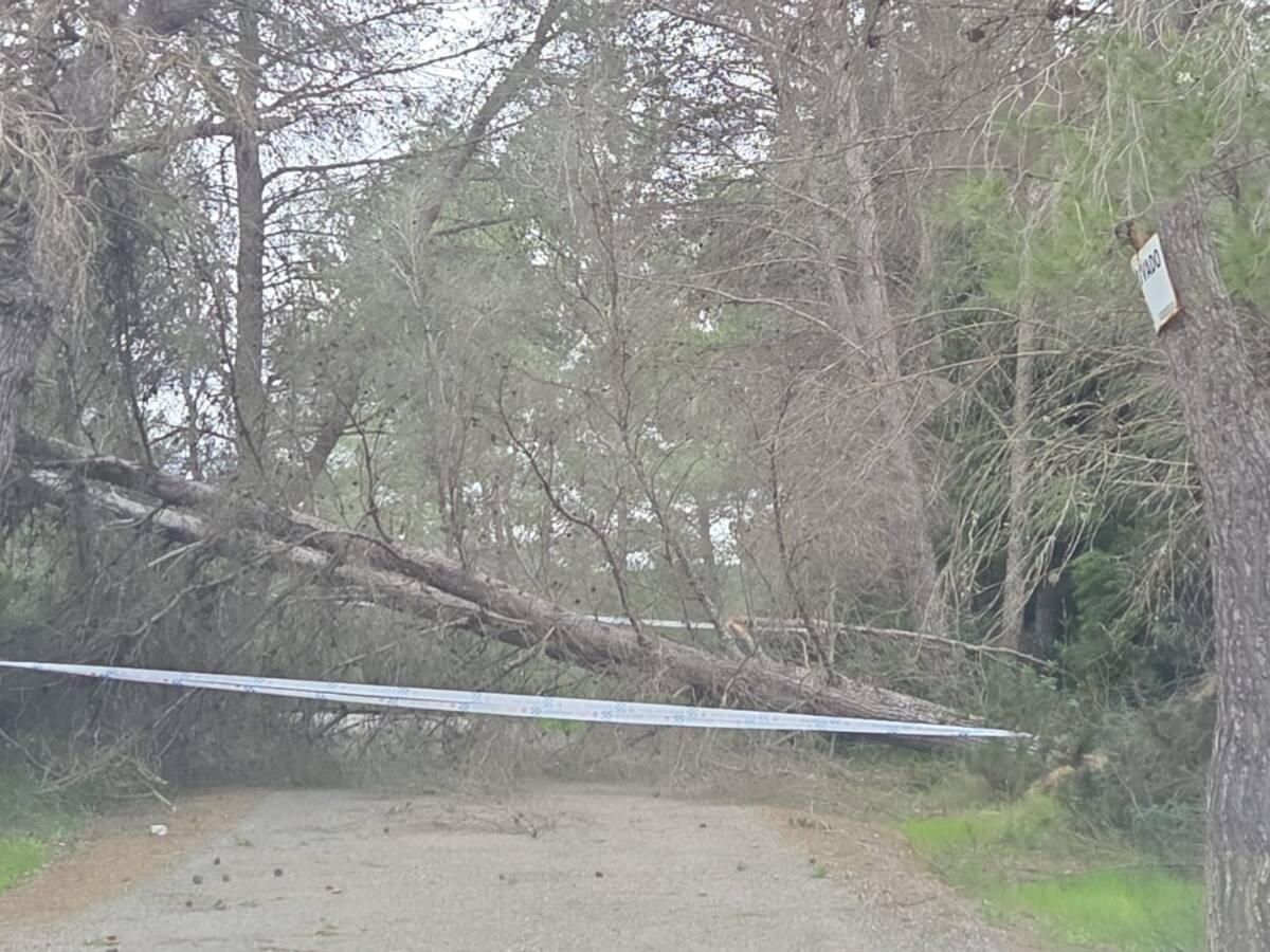Los bomberos realizan 119 salidas debido al temporal en Ibiza