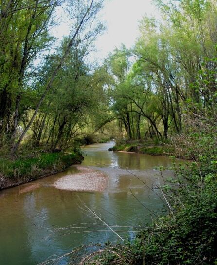 &quot;El Guadalquivir&quot;, de Antonio Fernández Ortega