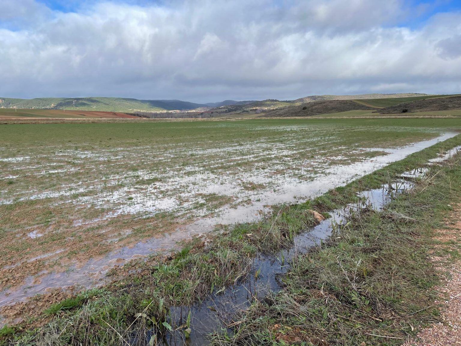 Parcela inundada en la zona de Jadraque