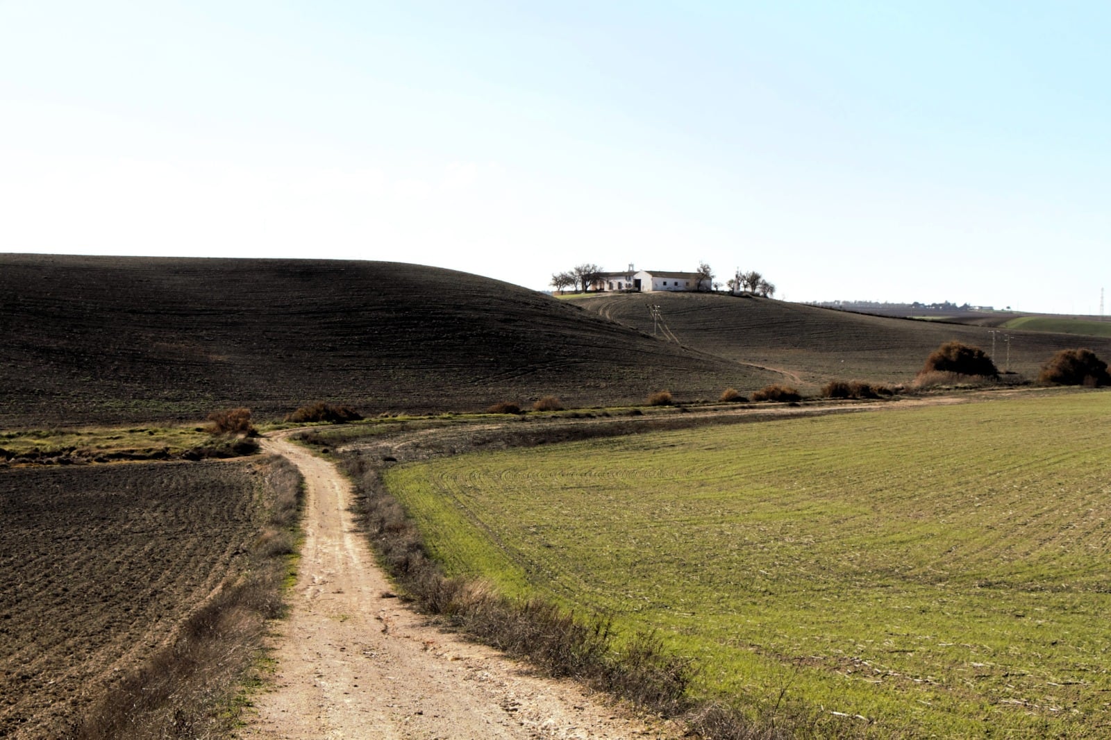 Recorrido por la Carrahola y la laguna de los Tercios en Jerez