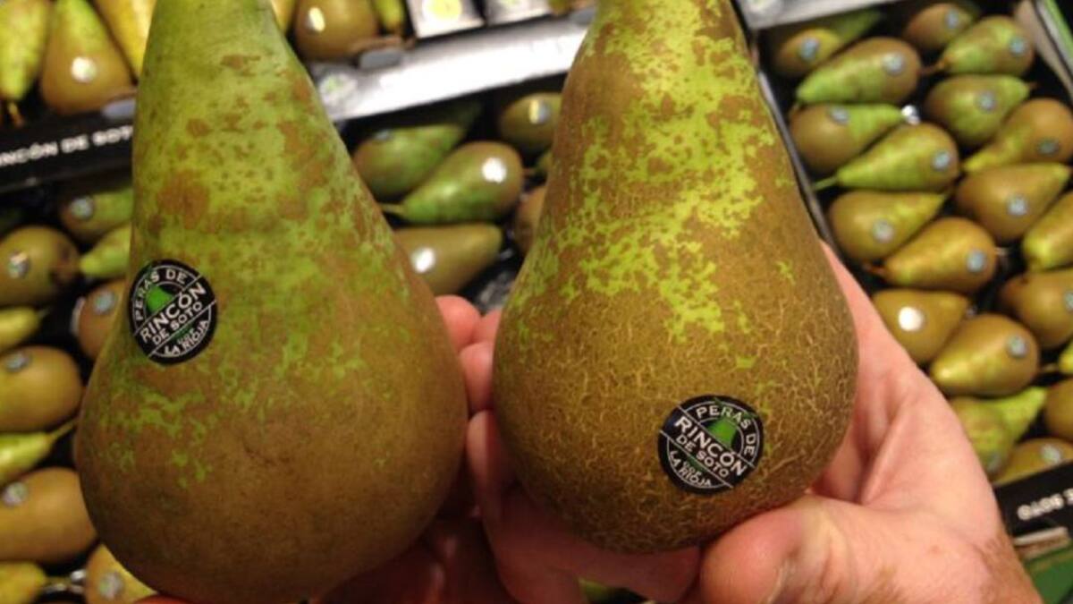 Un proyecto para evitar el corazón pardo en la Pera de Rincón de Soto